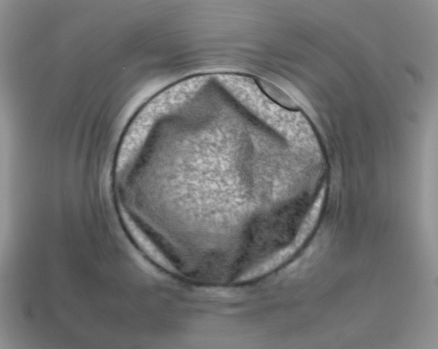X0000113761197200910141041