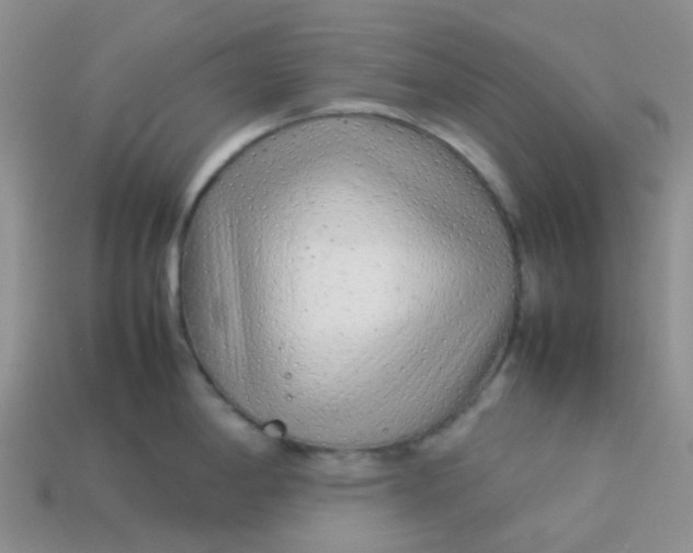 X0000113761198200910141041