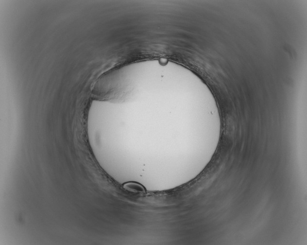 X0000113761201200910141041
