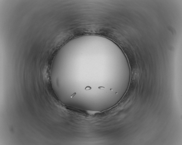 X0000113761202200910141041