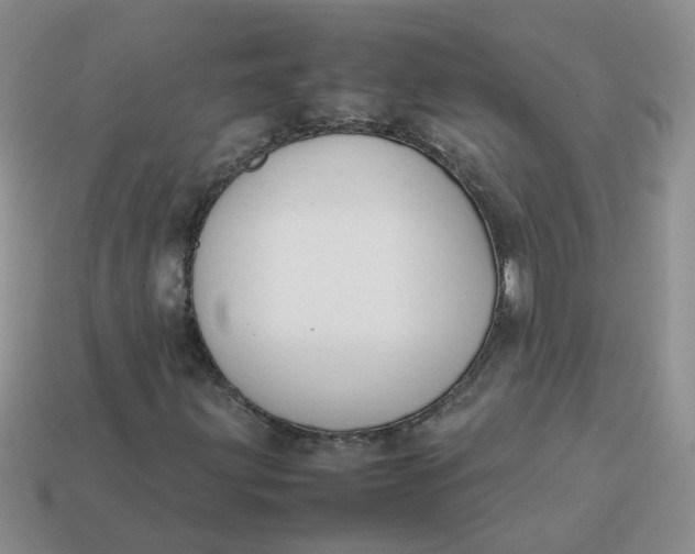 X0000113761203200910141041