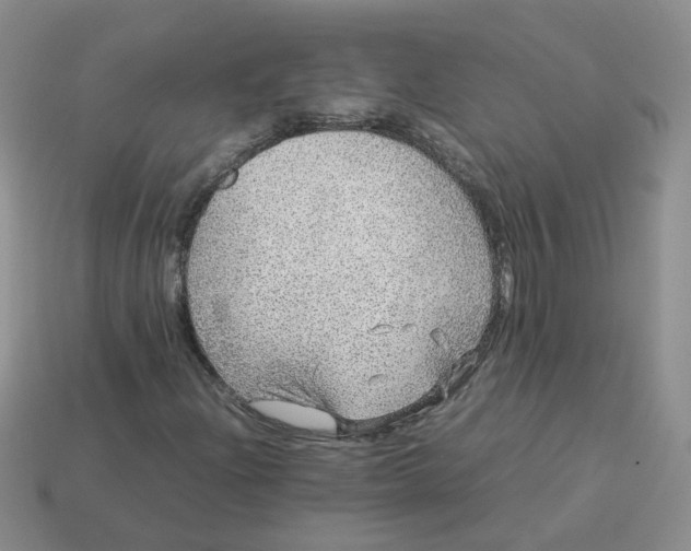 X0000113761204200910141041