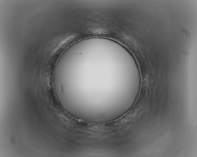 X0000113761205200910141041