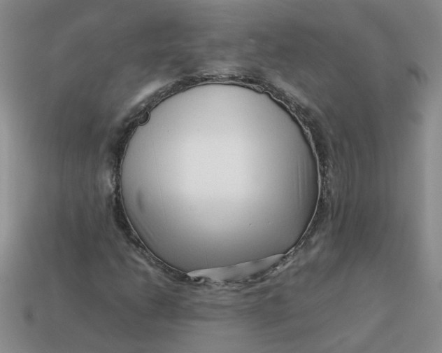 X0000113761206200910141041