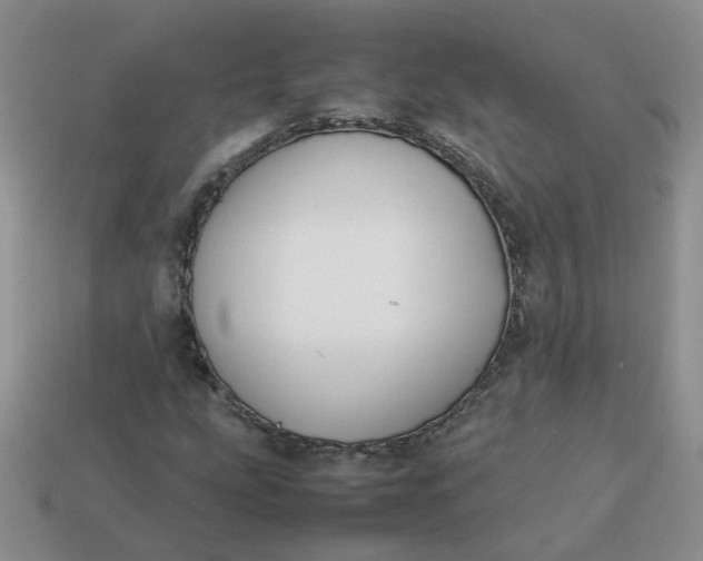 X0000113761207200910141041