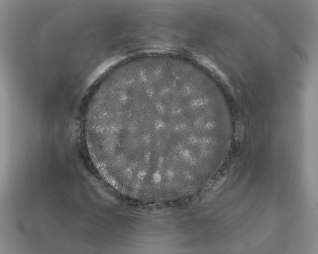 X0000113761208200910141041