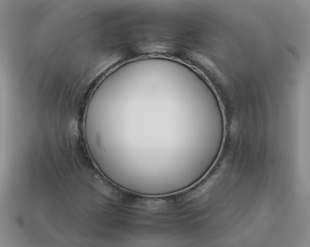 X0000113761209200910141041