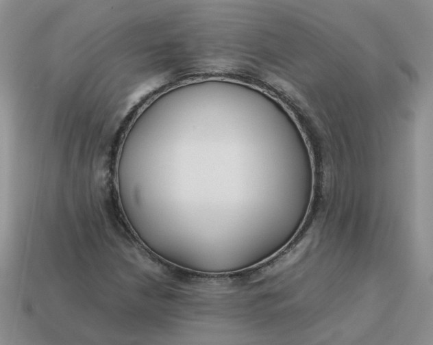 X0000113761210200910141041