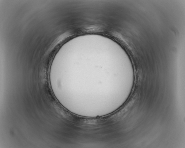 X0000113761211200910141041