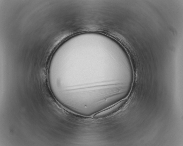 X0000113761212200910141041