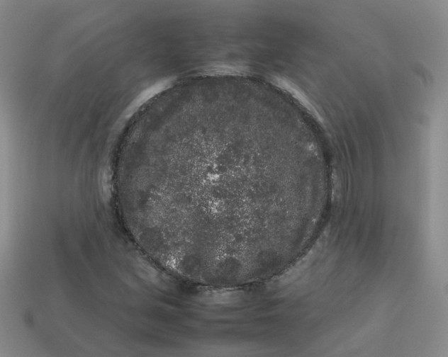 X0000113761213200910141041