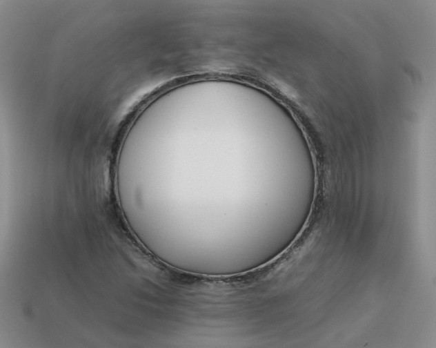 X0000113761214200910141041