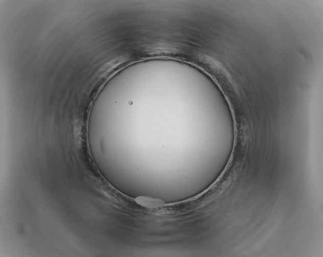 X0000113761217200910141041