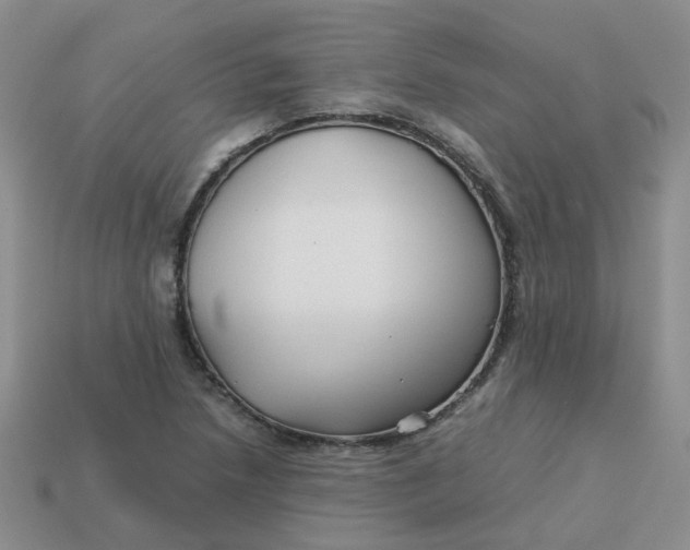 X0000113761218200910141041