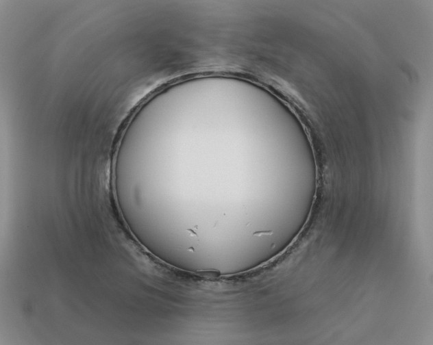 X0000113761220200910141041