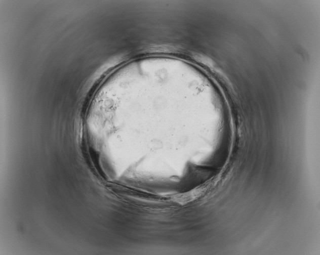 X0000113761221200910141041