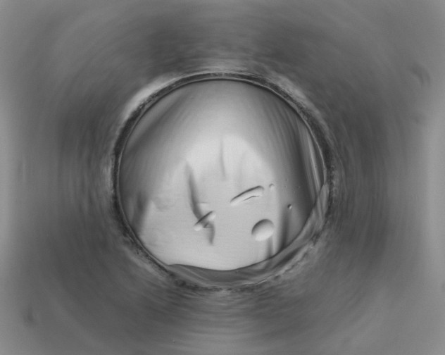X0000113761222200910141041