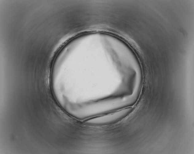 X0000113761224200910141041