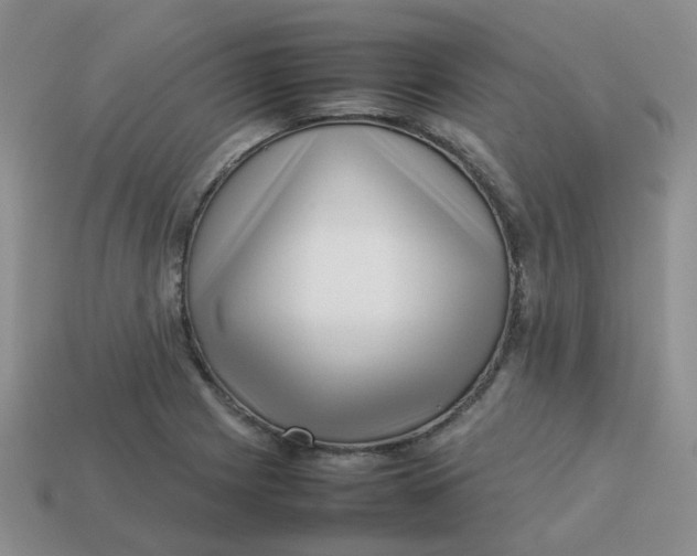 X0000113761225200910141041