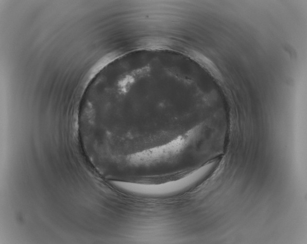 X0000113761226200910141041