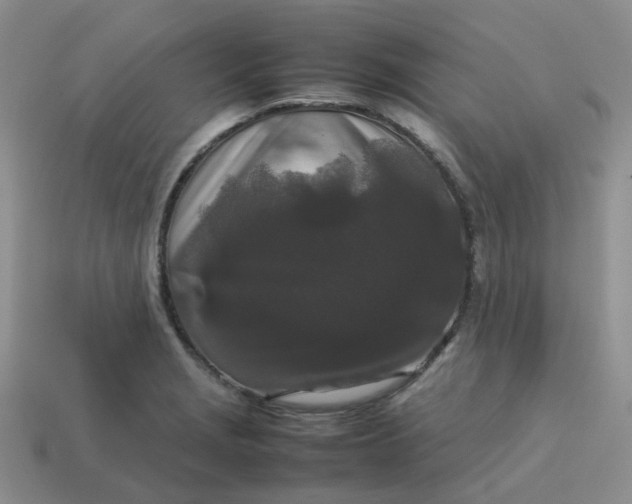 X0000113761229200910141041
