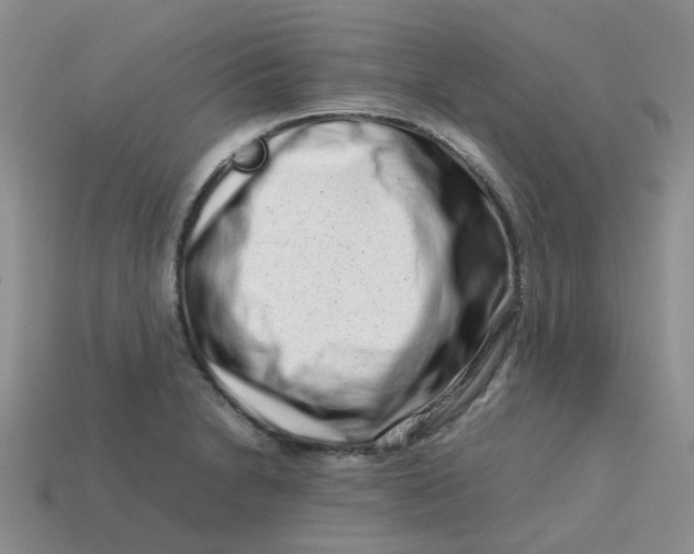 X0000113761230200910141041