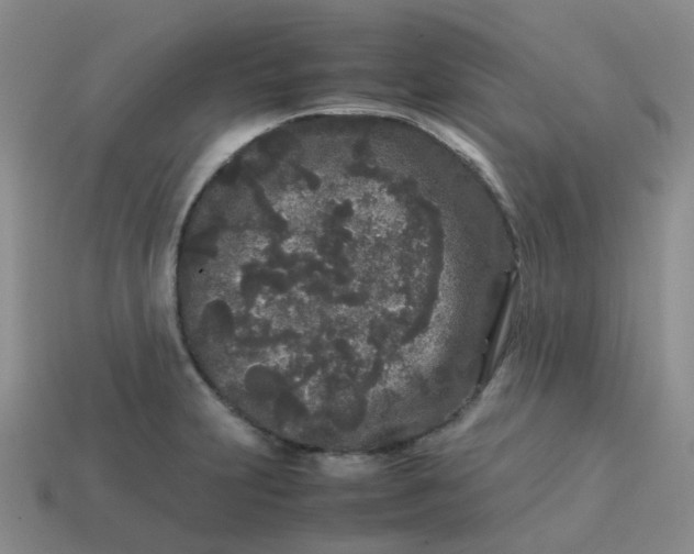 X0000113761231200910141041
