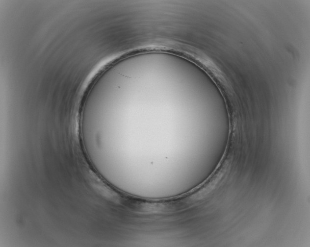 X0000113761232200910141041
