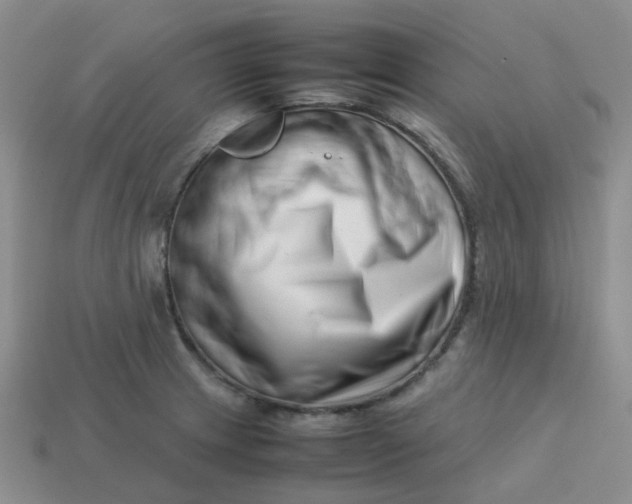 X0000113761233200910141041
