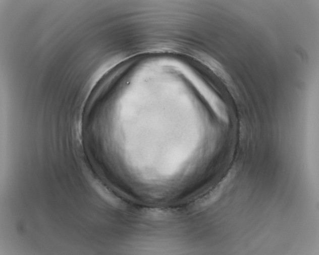 X0000113761234200910141041
