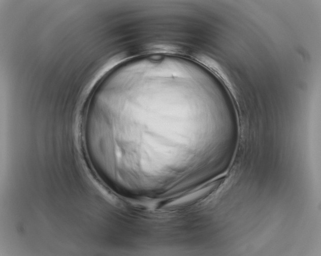 X0000113761235200910141041
