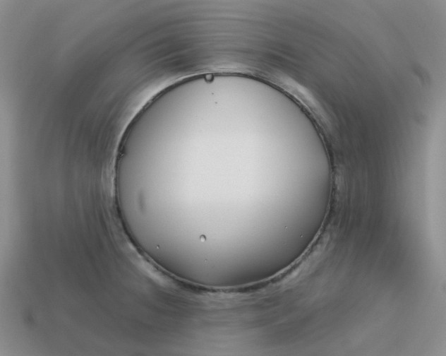 X0000113761236200910141041