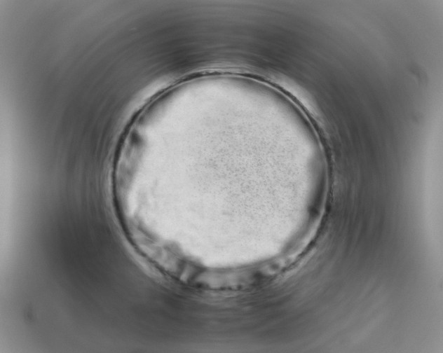 X0000113761237200910141041