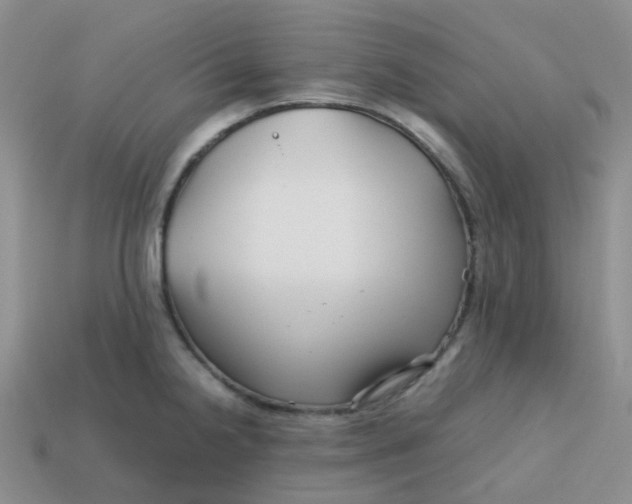 X0000113761238200910141041