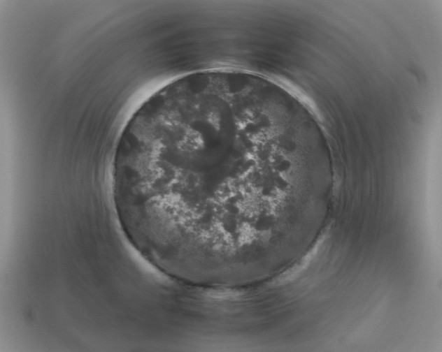 X0000113761239200910141041