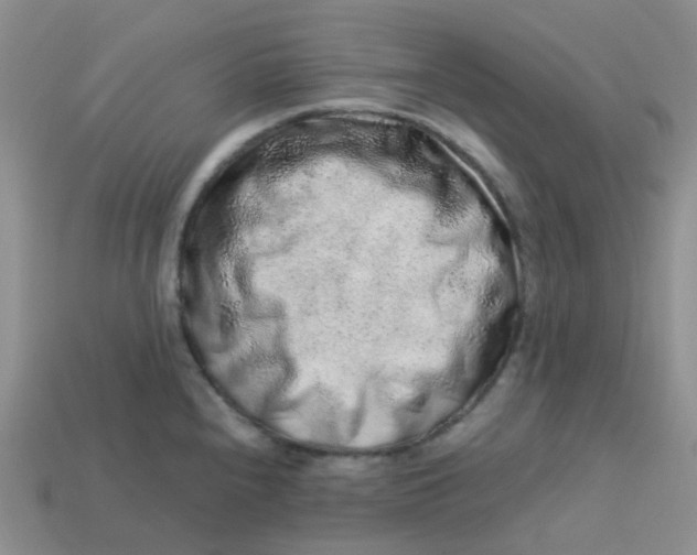X0000113761240200910141041