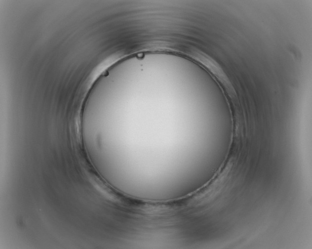 X0000113761242200910141041