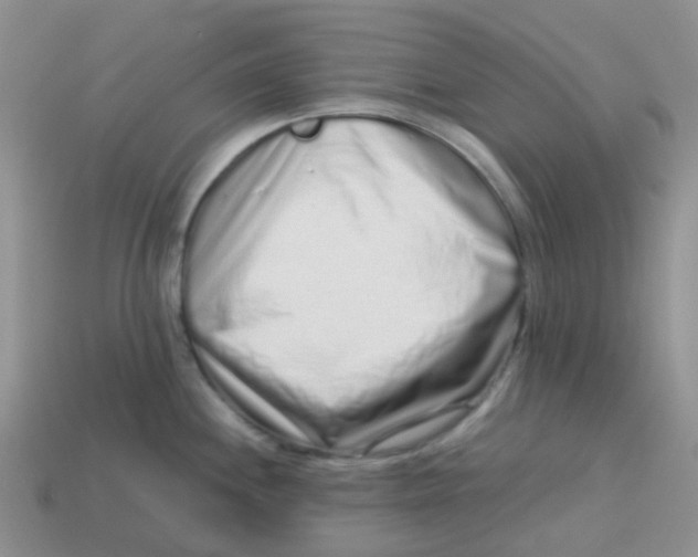 X0000113761244200910141041