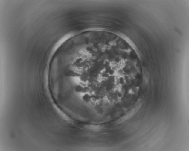 X0000113761245200910141041