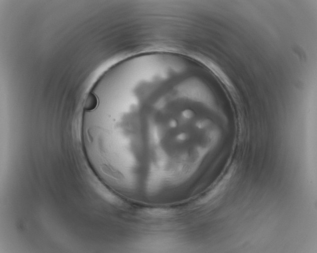 X0000113761246200910141041