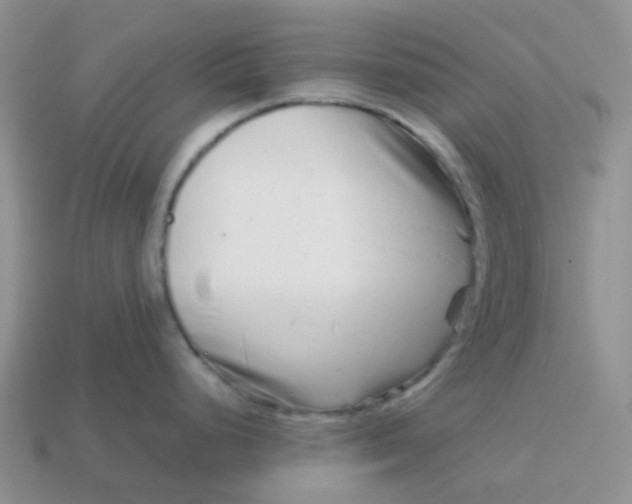 X0000113761248200910141041