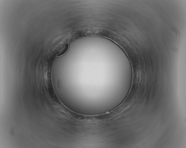 X0000113761250200910141041