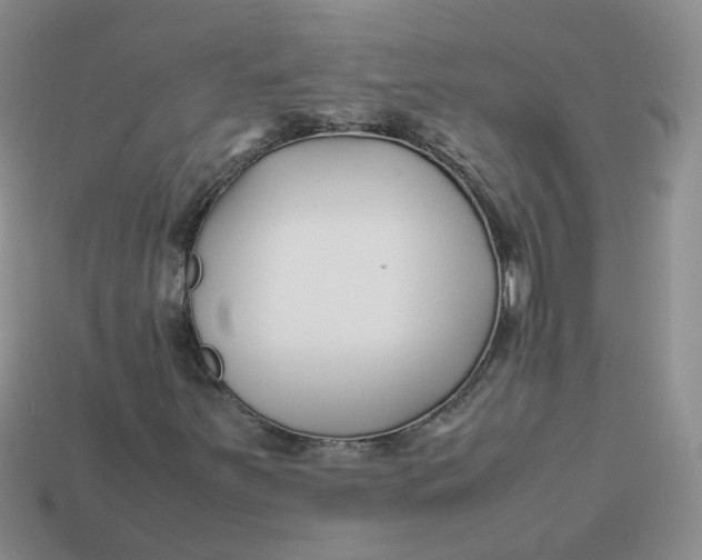 X0000113761251200910141041