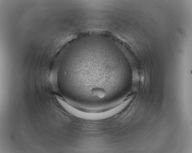 X0000113761252200910141041