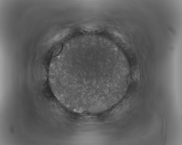 X0000113761253200910141041
