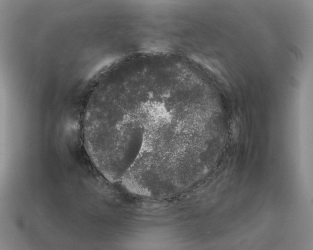 X0000113761254200910141041