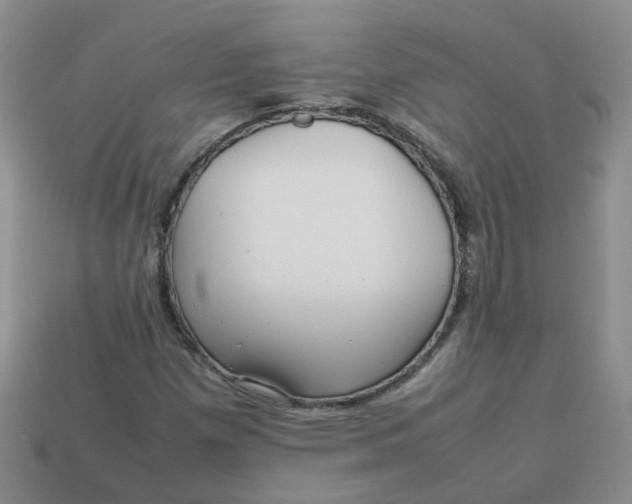 X0000113761257200910141041