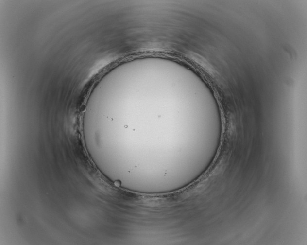 X0000113761258200910141041