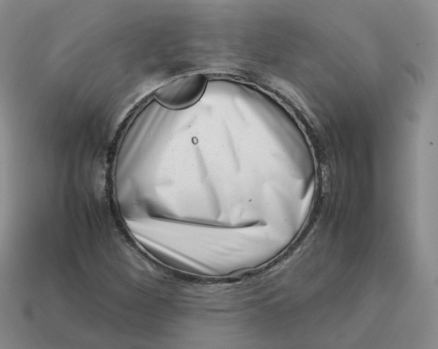X0000113761260200910141041