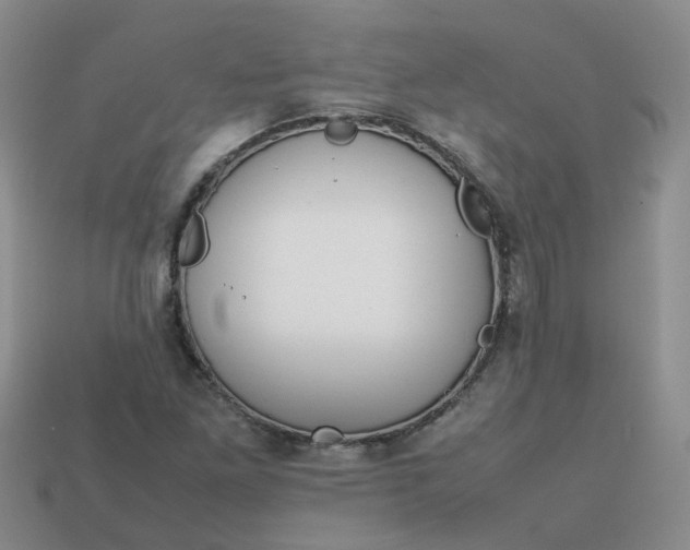 X0000113761261200910141040